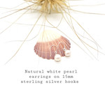 Natural White Pearl earrings 15mm hooks - AAA Grade